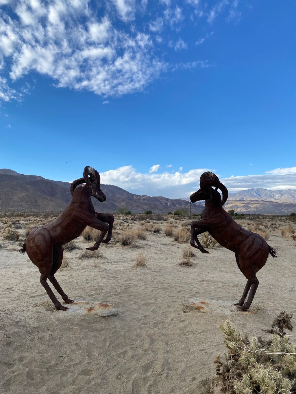 Anza-Borrego Desert State Park