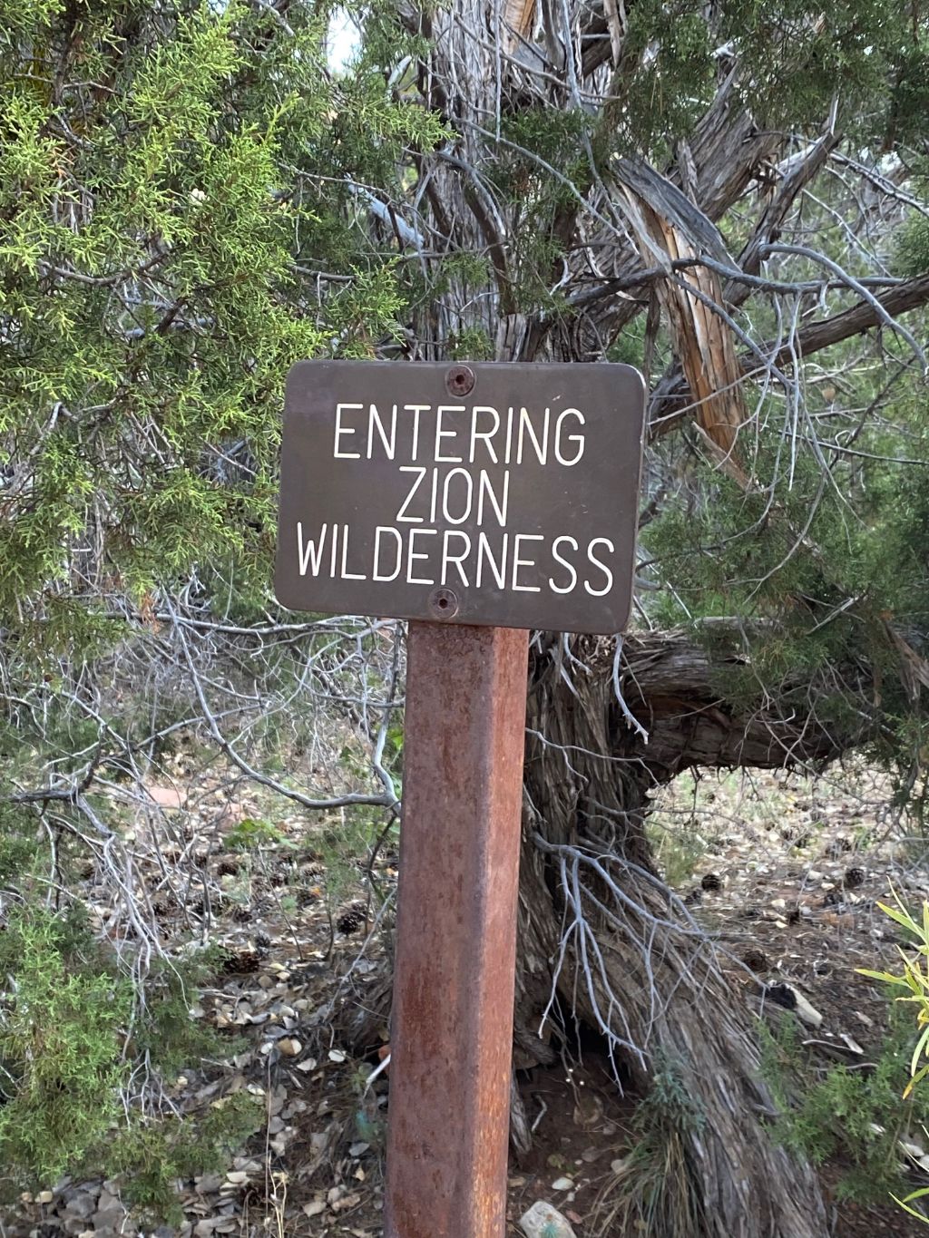 Zion National Park