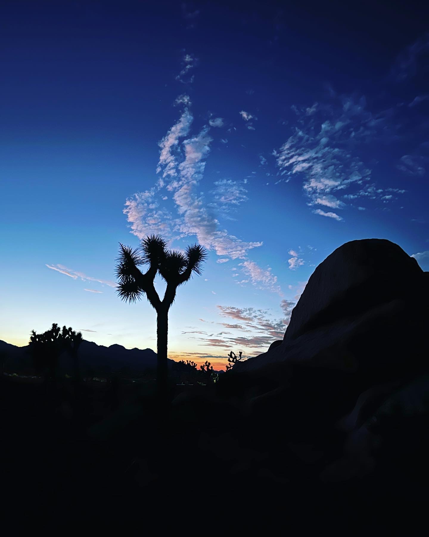 Stargazing in the Desert